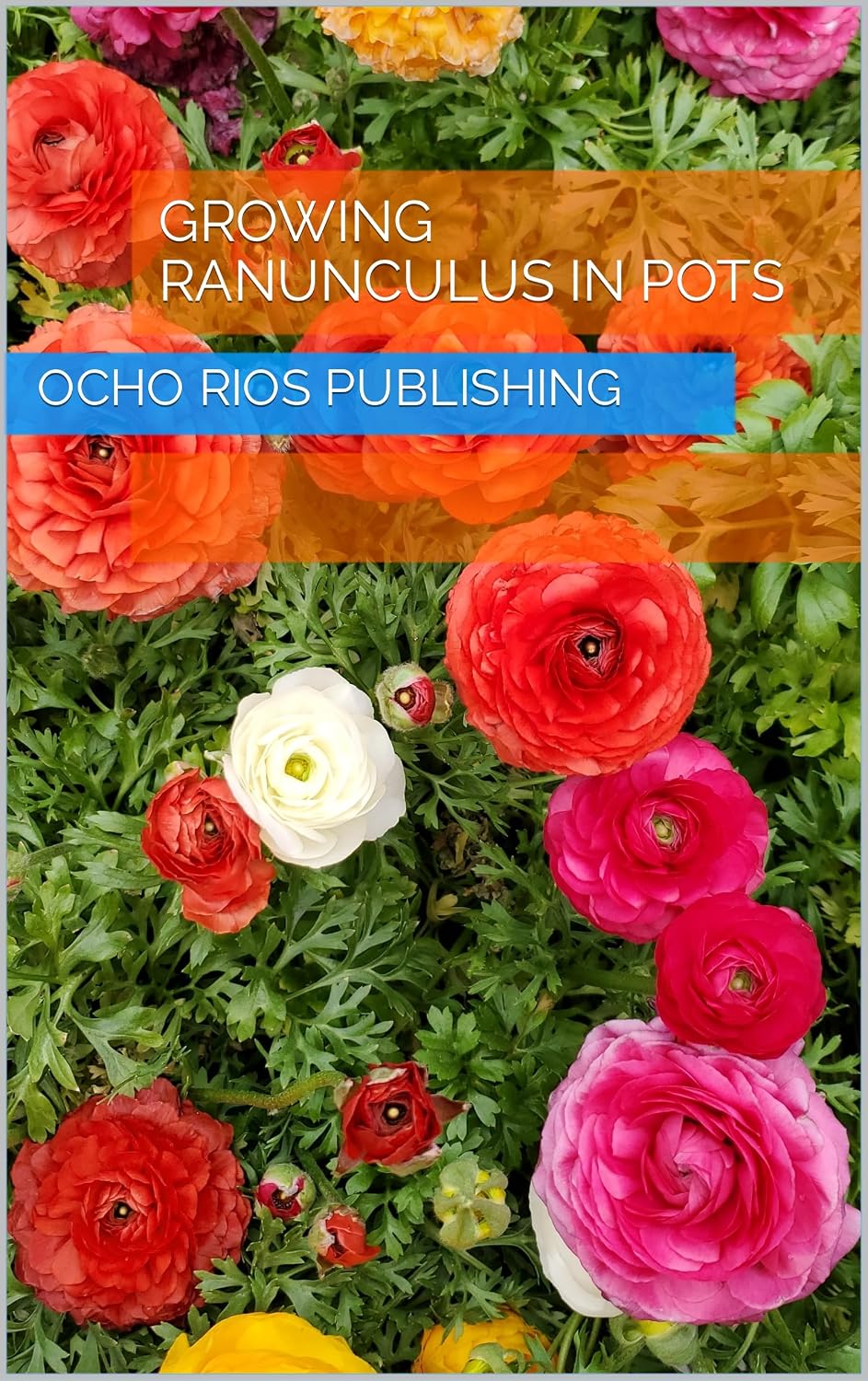 capítulo por capítulo baixar Growing Ranunculus in Pots (Tranquil Gardens) (English Edition)
