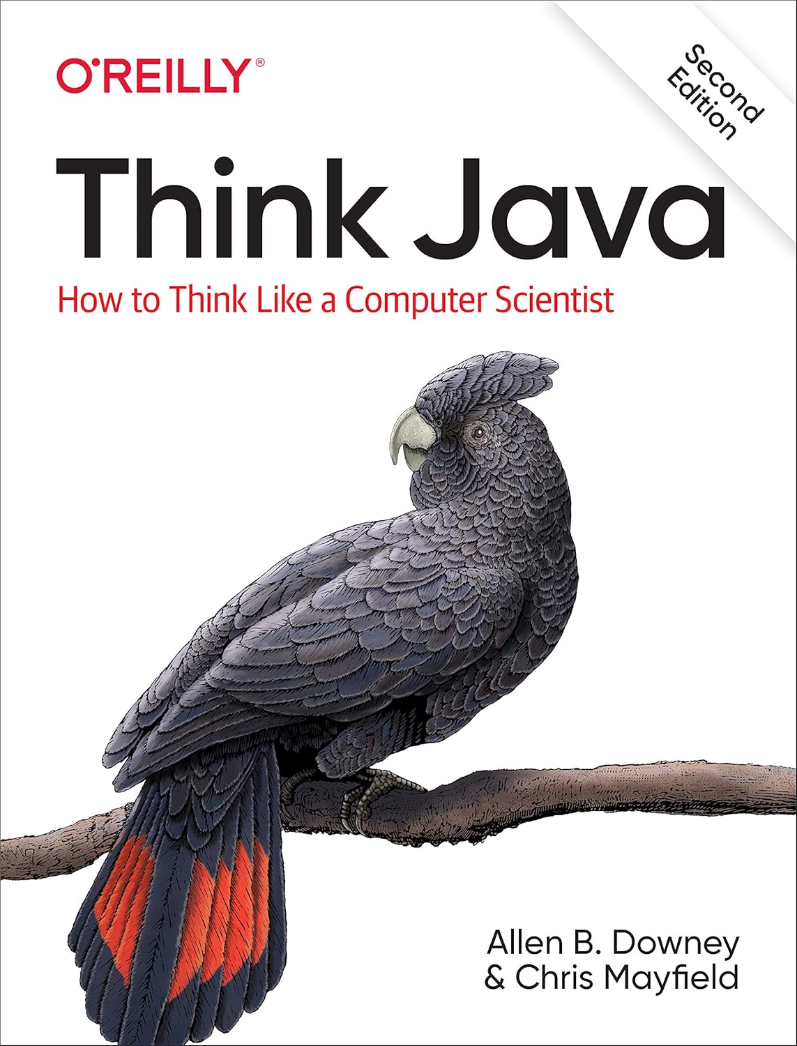 Think Java: How to Think Like a Computer Scientist baixar o livro de graça