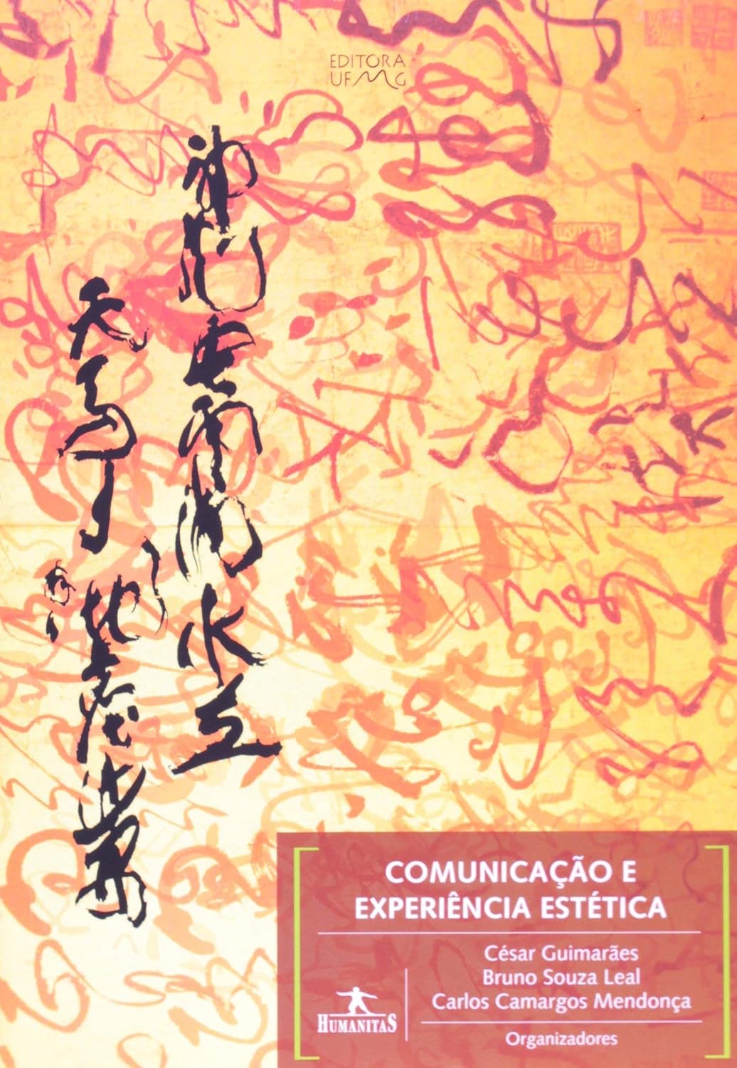 Comunicação e Experiência Estética