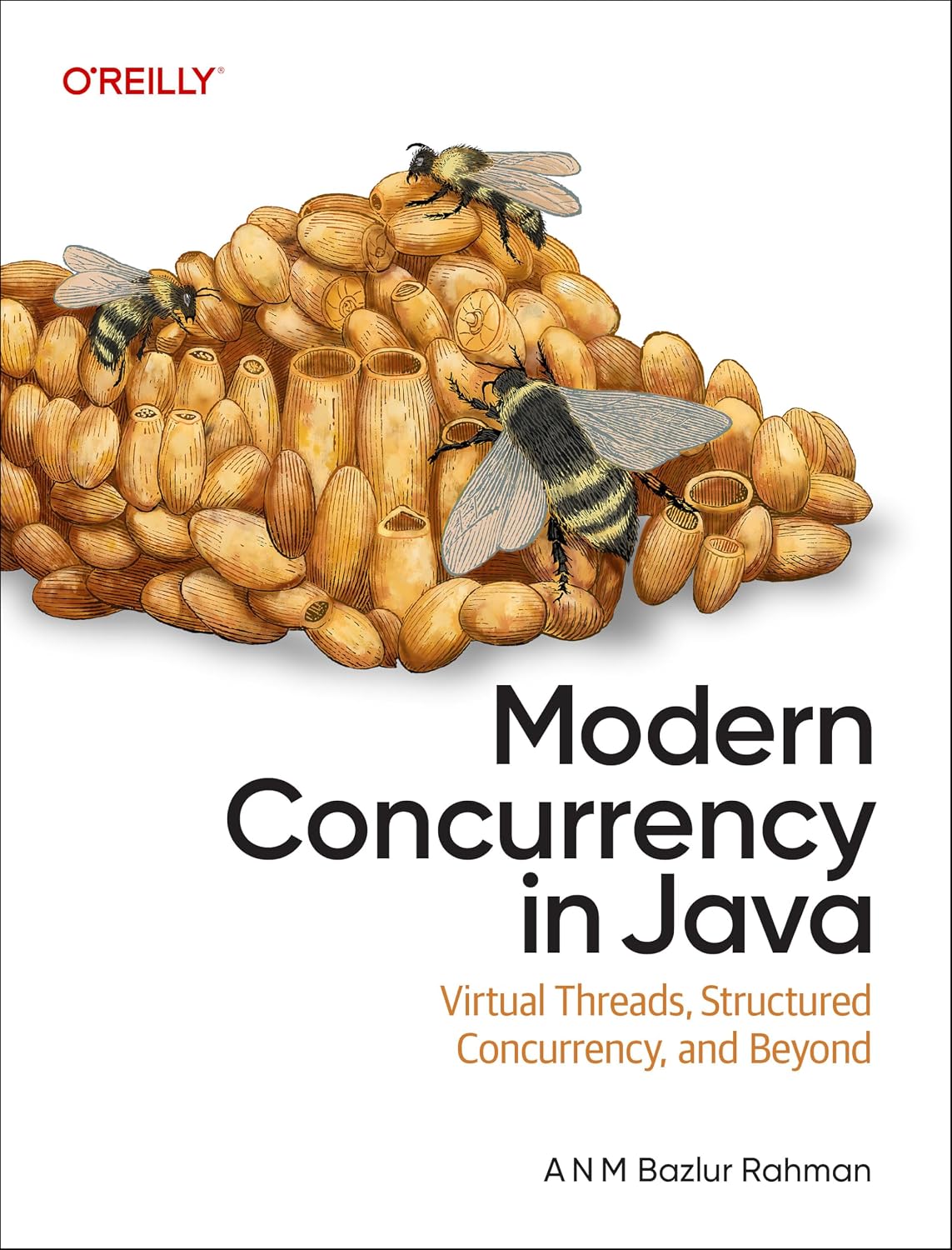 Modern Concurrency in Java: Virtual Threads, Structured Concurrency, and Beyond baixar o livro de graça