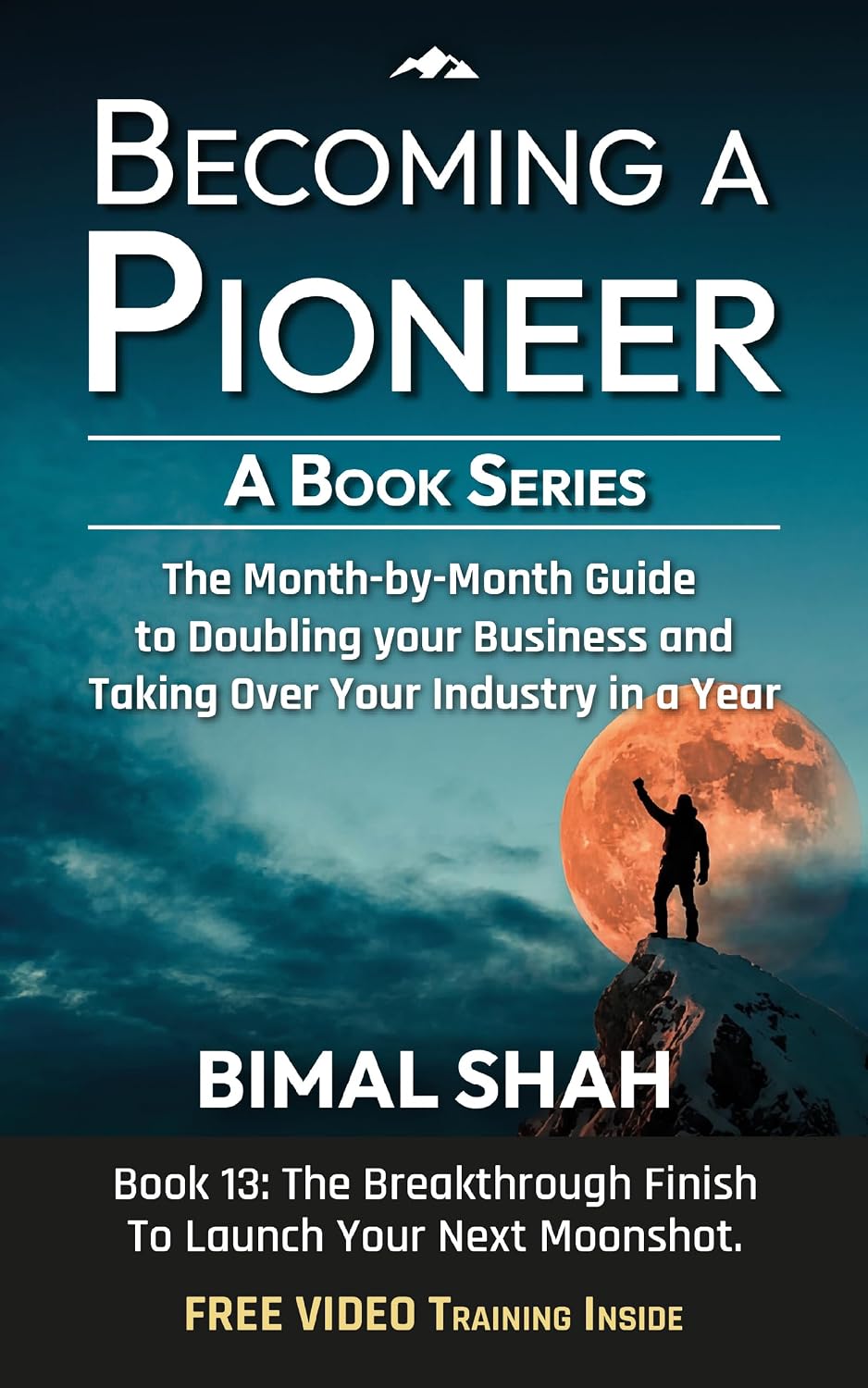 Becoming a Pioneer- A Book Series: The Month-by-Month Guide to Doubling Your Business and Taking Over Your Industry In A Year-Book 13 (English Edition) baixar livro de graça