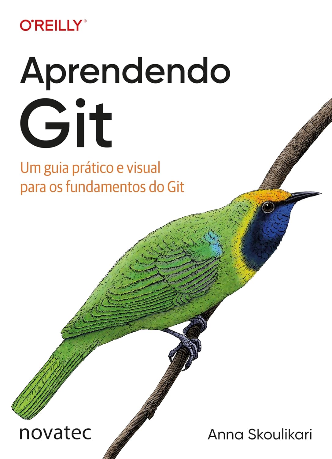 Aprendendo Git: Um guia prático e visual para os fundamentos do Git baixar livro de graça