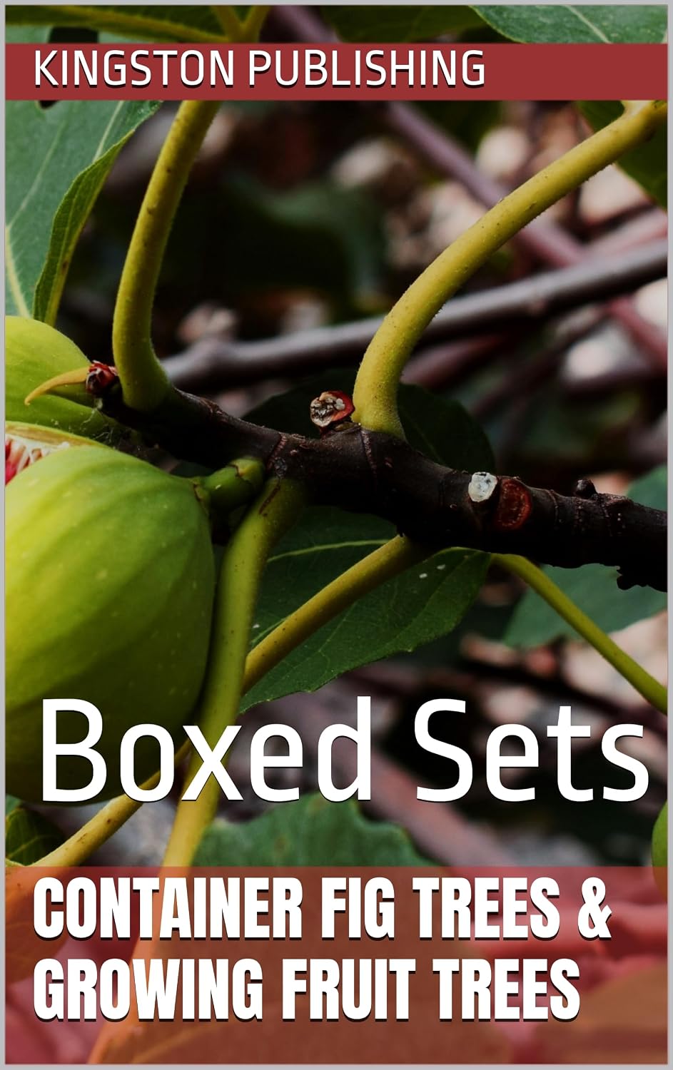 ler totalmente Container Fig Trees & Growing Fruit Trees: Boxed Sets (Flowers and Vegetables That Grow Well in Pots) (English Edition)