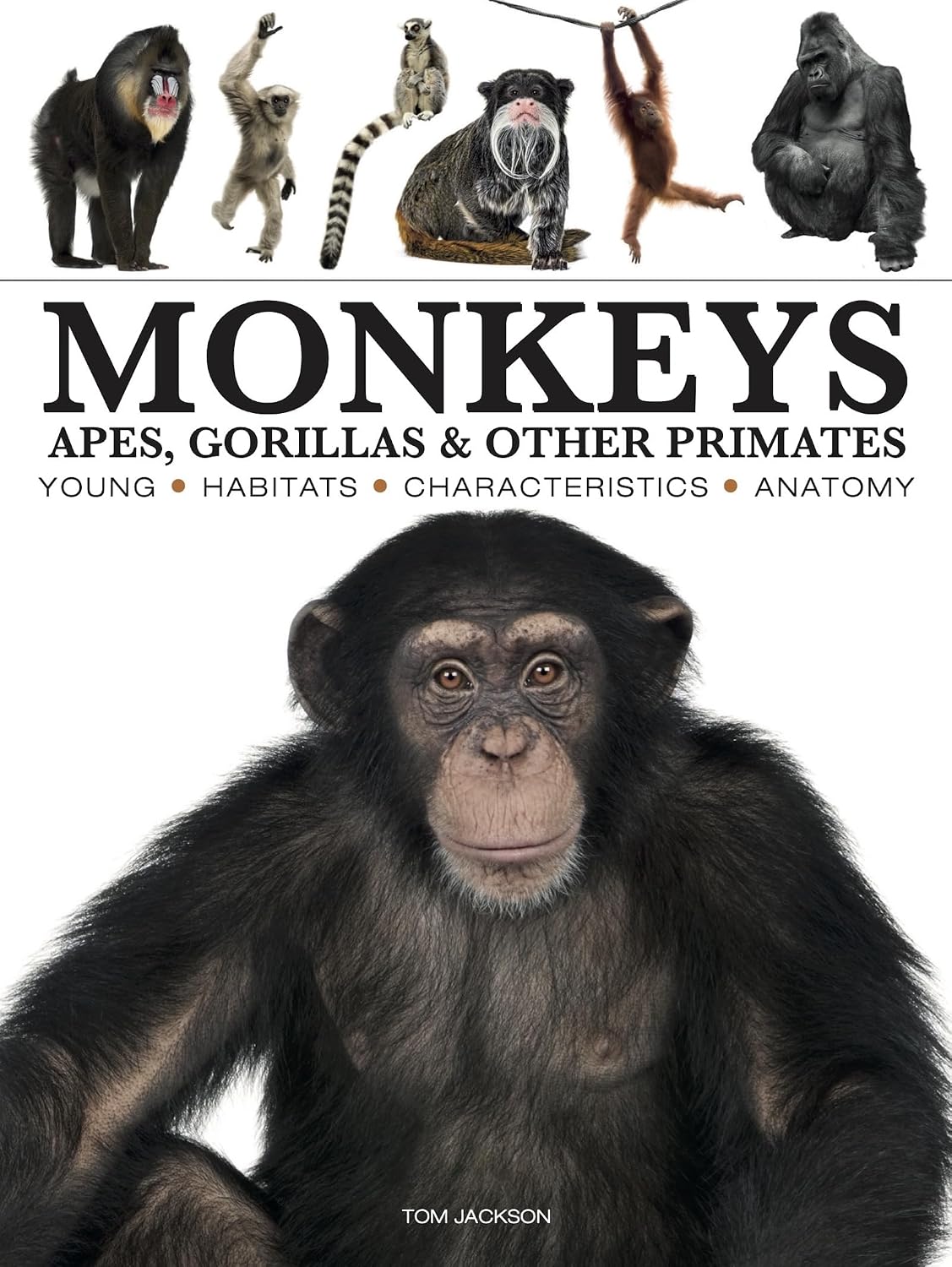 Monkeys: Apes, Gorillas and Other Primates