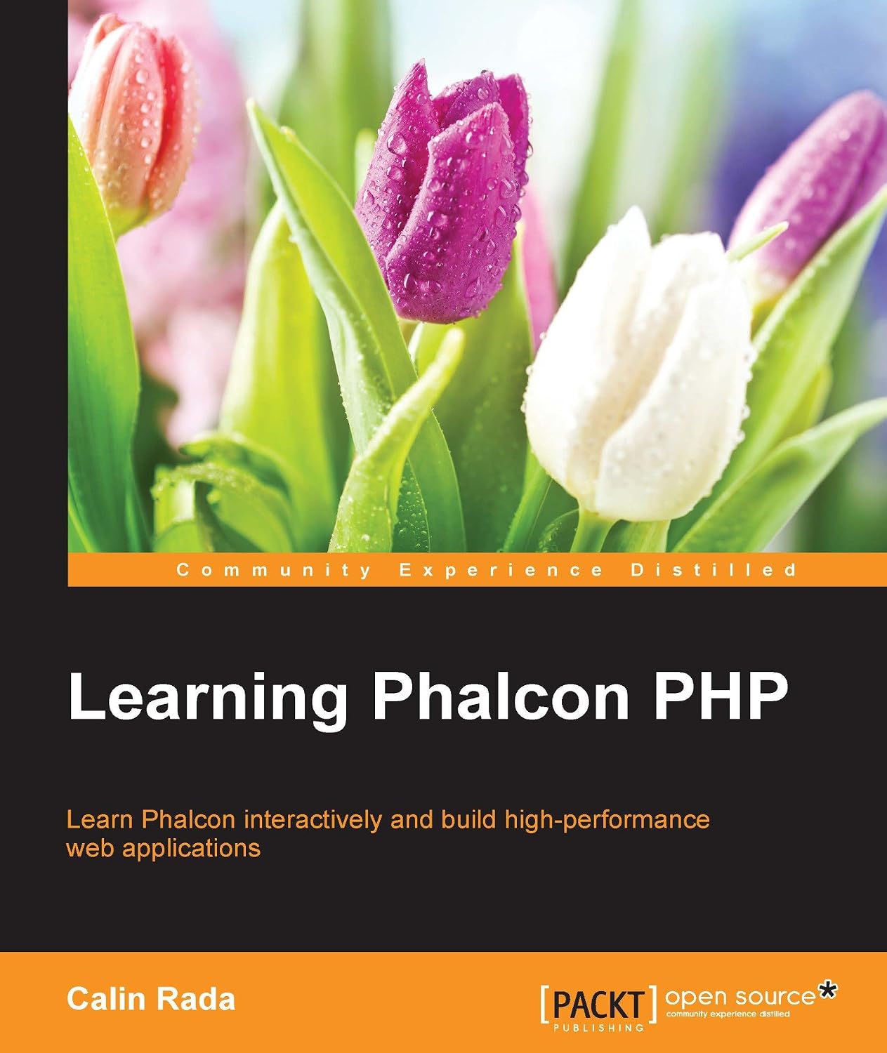 Learning Phalcon PHP (English Edition)
