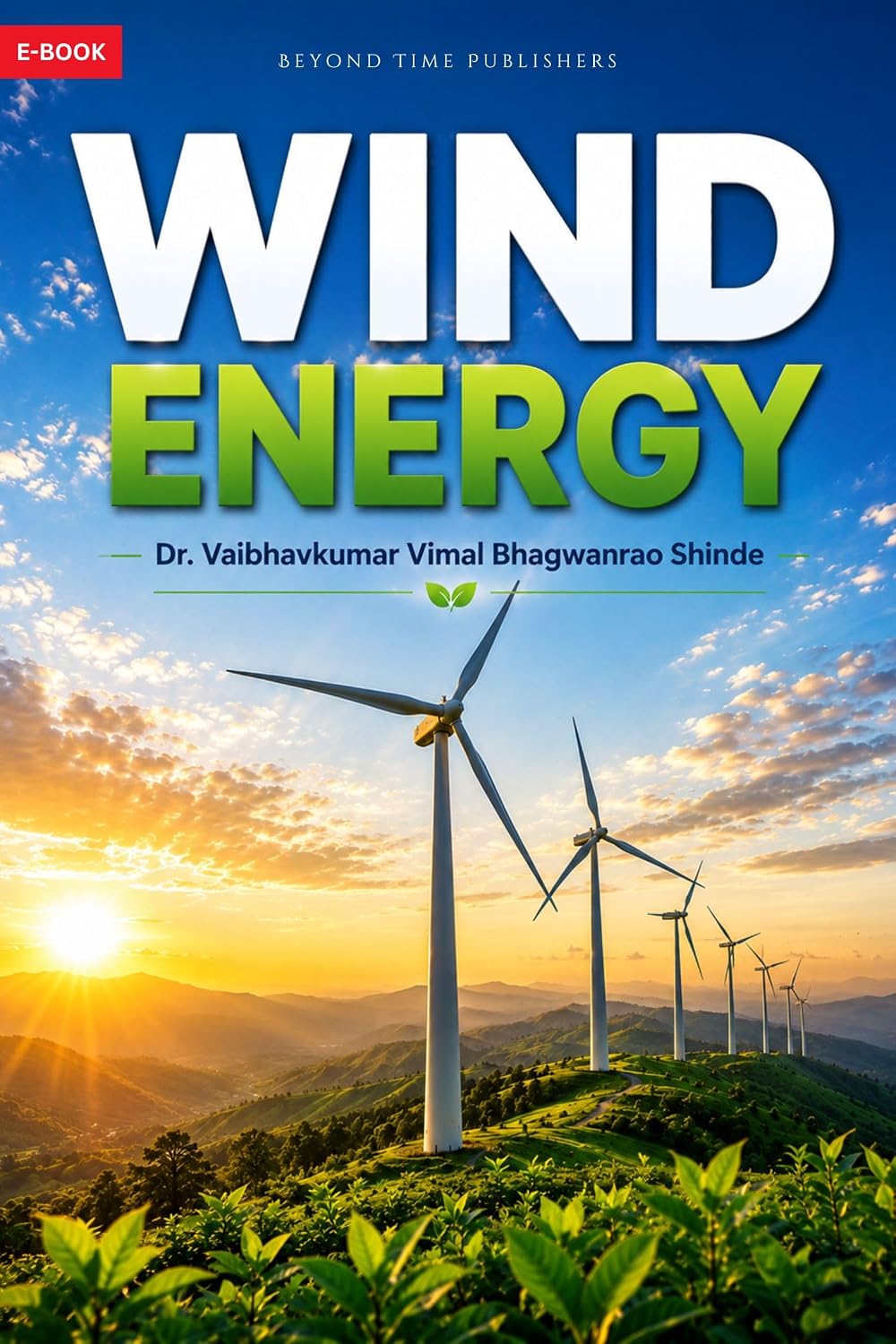 Introduction to Wind Energy (English Edition)
