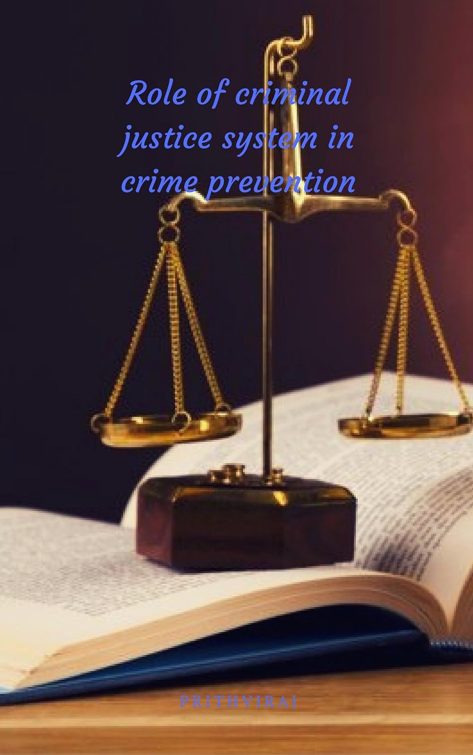 Role of criminal justice system in crime prevention (English Edition) baixar livro de graça