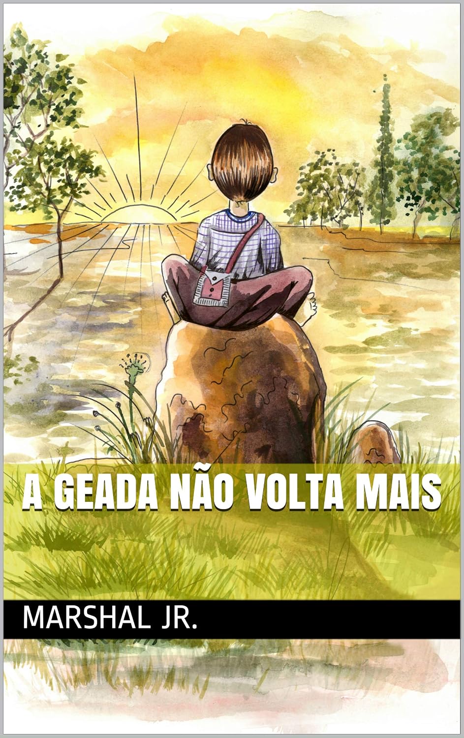 A Geada Não Volta Mais baixar livro de graça