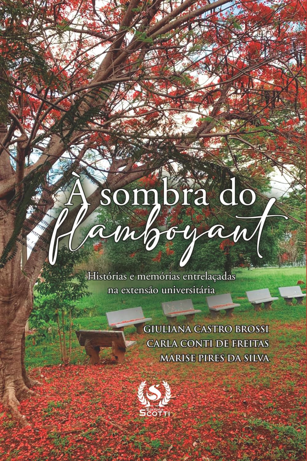 à Sombra do Flamboyant: Histórias e Memórias Entrelaçadas na Extensão Universitária baixar o livro de graça