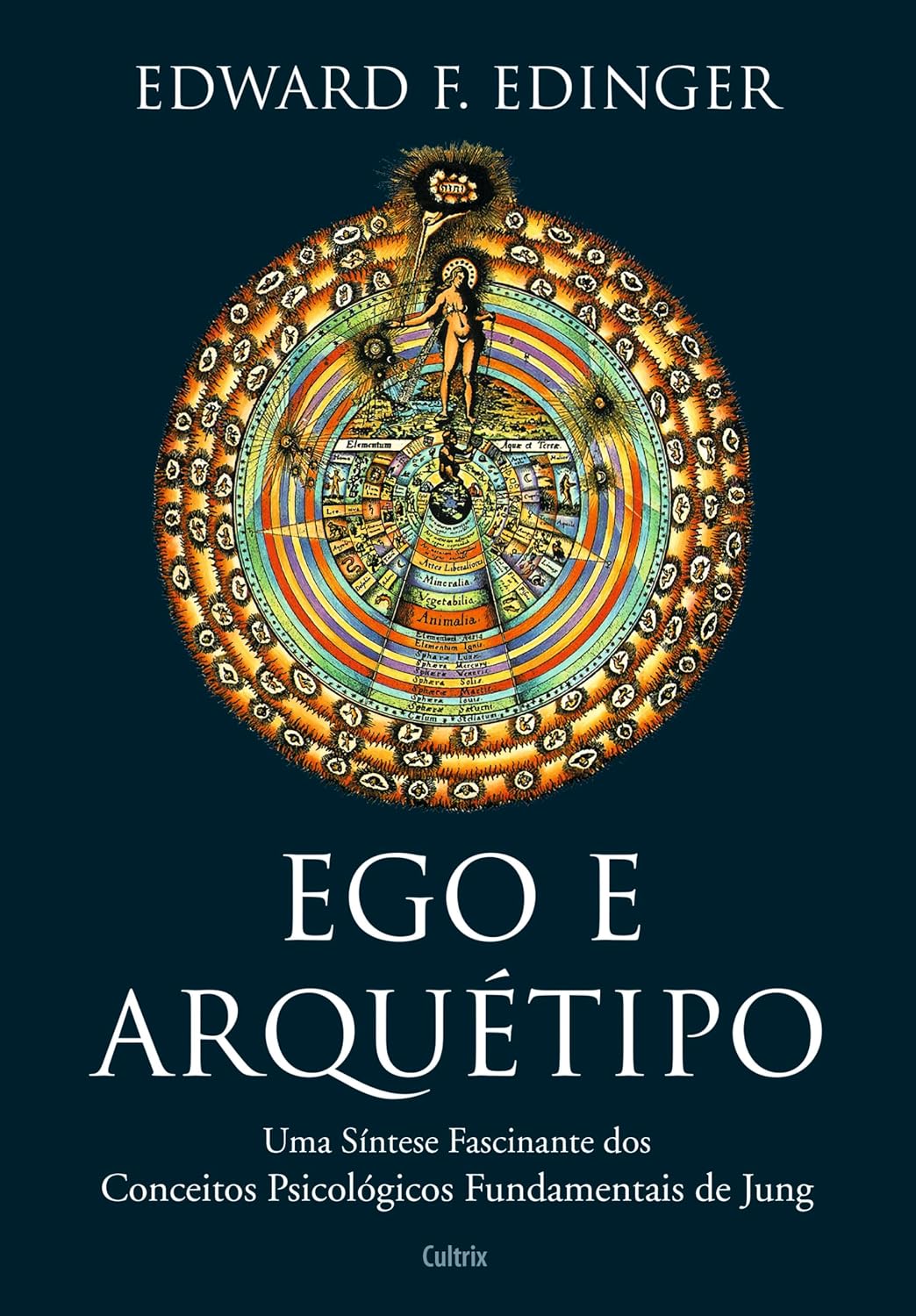 Ego e arquétipo: Uma síntese fascinante dos conceitos psicológicos fundamentais de Jung baixar livro de graça
