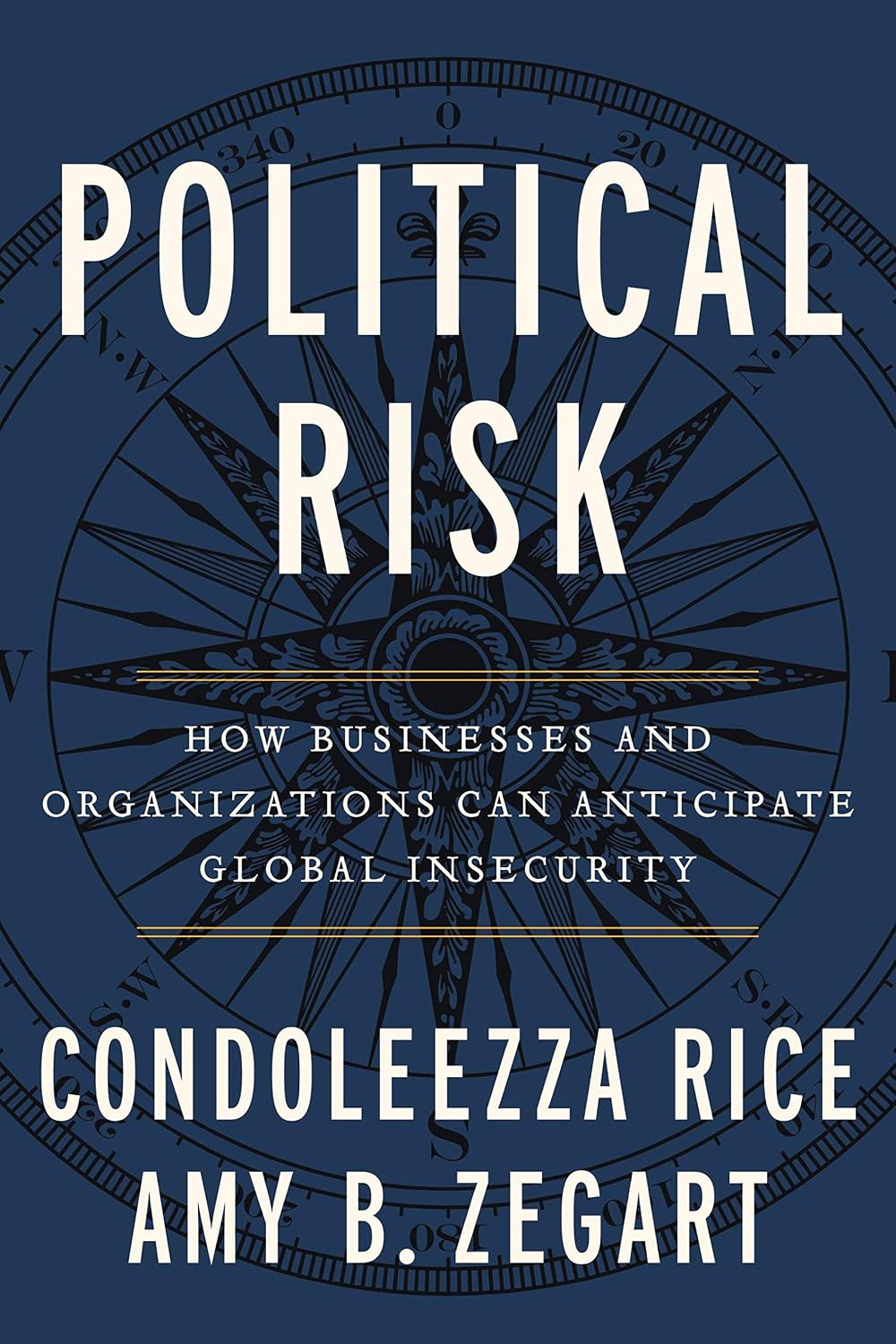ler totalmente Political Risk: How Businesses and Organizations Can Anticipate Global Insecurity (English Edition)