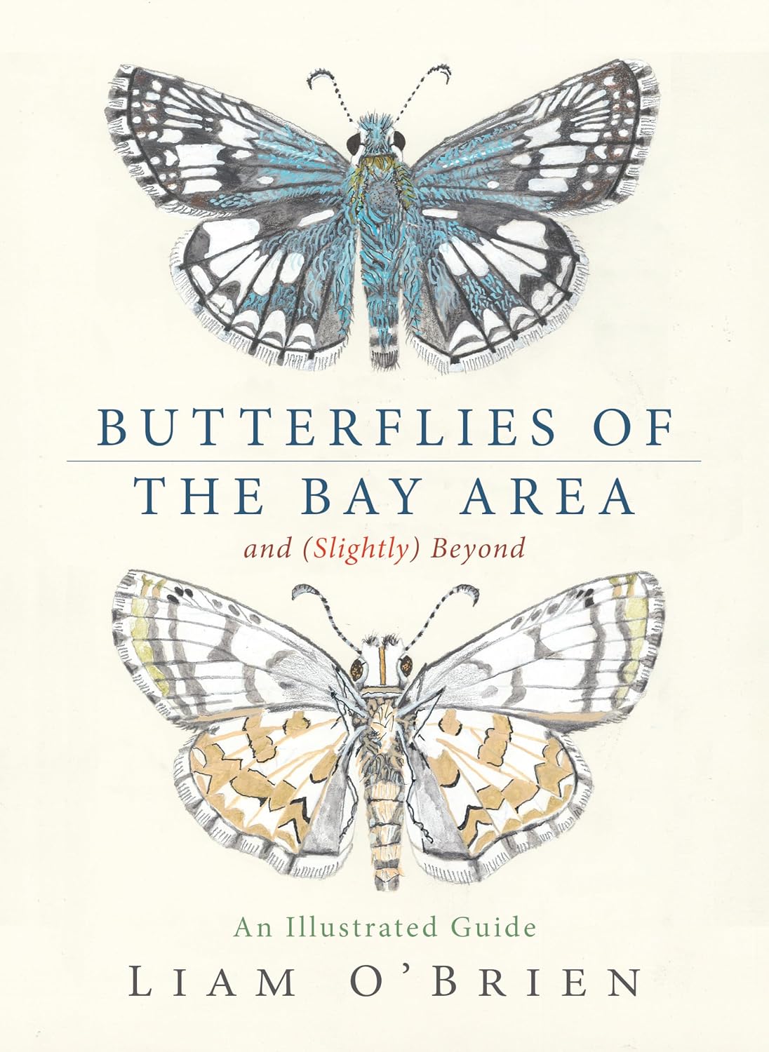 Butterflies of the Bay Area and (Slightly) Beyond: An Illustrated Guide (English Edition) baixar o livro de graça
