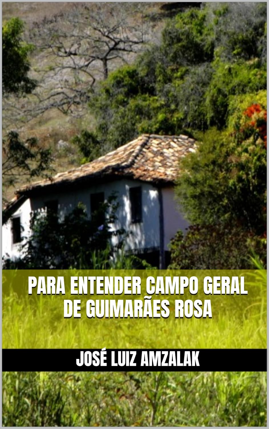 PARA ENTENDER CAMPO GERAL (ENSAIOS LITERÁRIOS Livro 10) baixar livro de graça