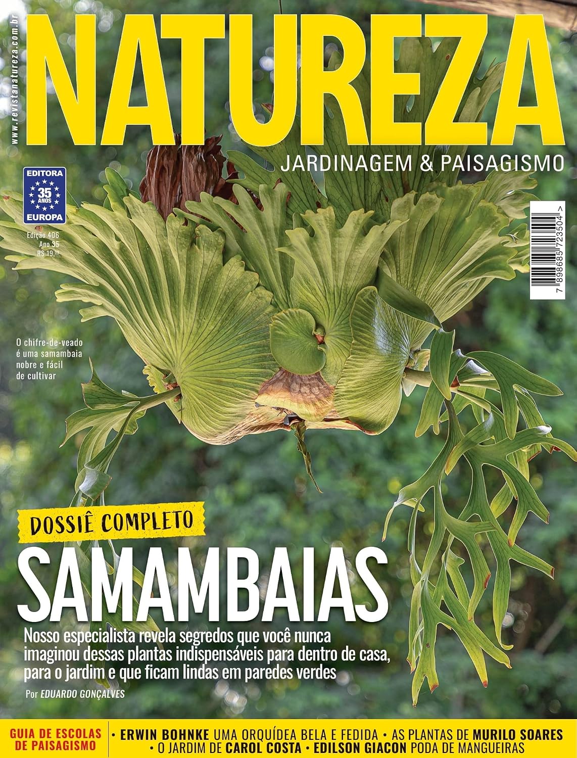 Revista Natureza 406 baixar livro de graça