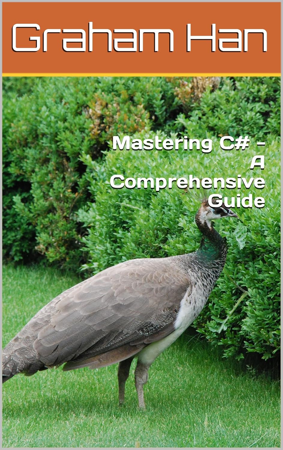 Mastering C# - A Comprehensive Guide (English Edition)