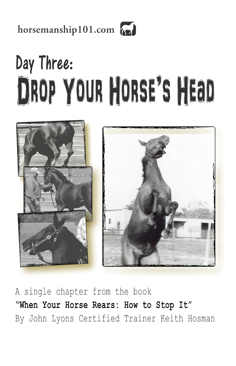 ler totalmente Day Three: Drop Your Horse's Head (When Your Horse Rears Book 3) (English Edition)