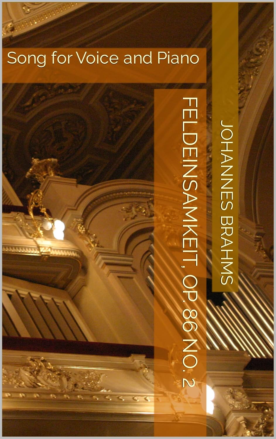 Feldeinsamkeit, Op. 86 No. 2: Song for Voice and Piano (German Edition) baixar o livro de graça