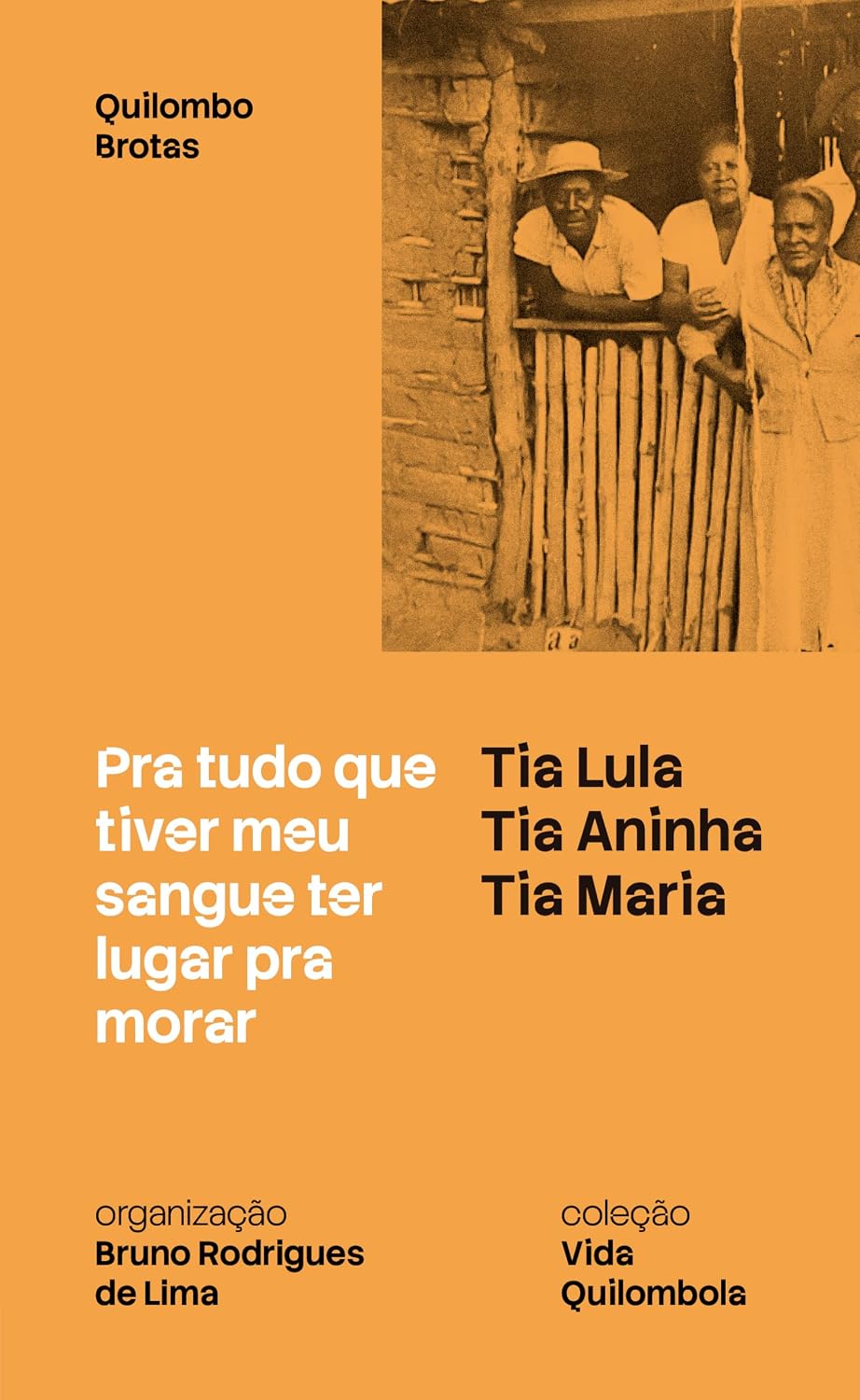 Pra tudo que tiver meu sangue ter lugar pra morar (Quilombo Brotas) baixar o livro de graça