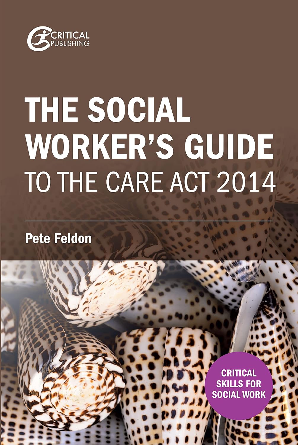 ler totalmente The Social Worker's Guide to the Care Act 2014 (English Edition)