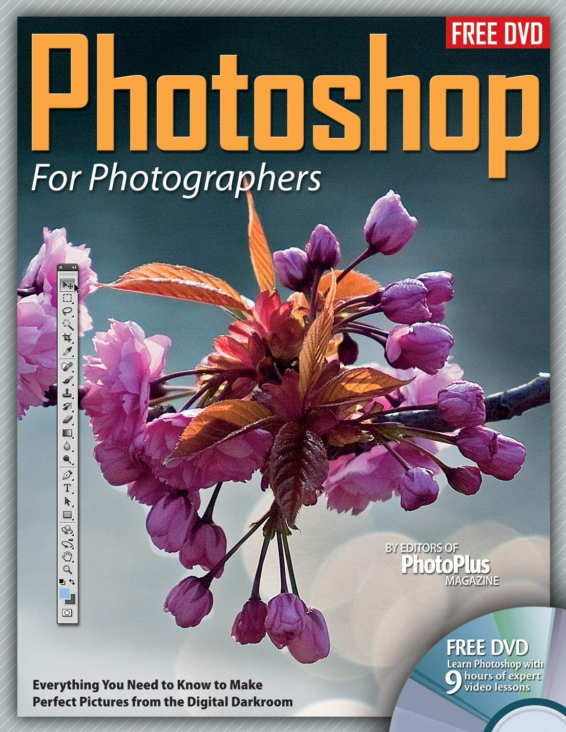 ler totalmente Photoshop for Photographers: Everything You Need to Know to Make Perfect Pictures from the Digital Darkroom