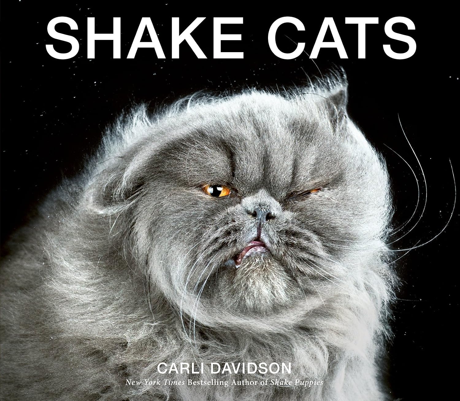 Shake Cats: A Funny and Heartwarming Photo Book by Pet Photographer Carli Davidson—130+ Gorgeous Feline Photos (English Edition)