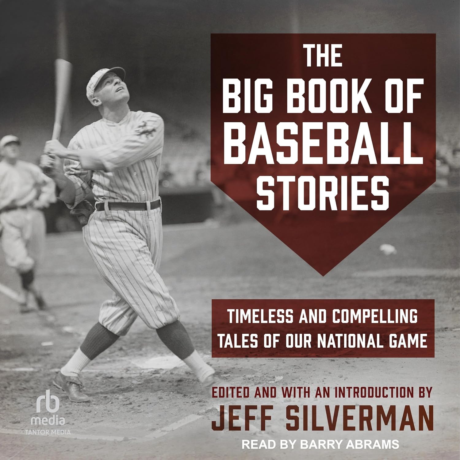ler totalmente The Big Book of Baseball Stories: Timeless and Compelling Tales of Our National Game