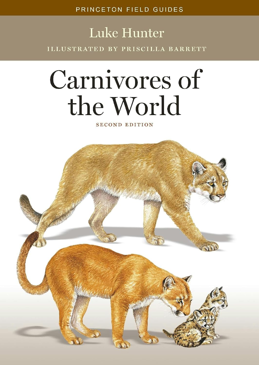 Carnivores of the World: Second Edition: 117 baixar livro de graça