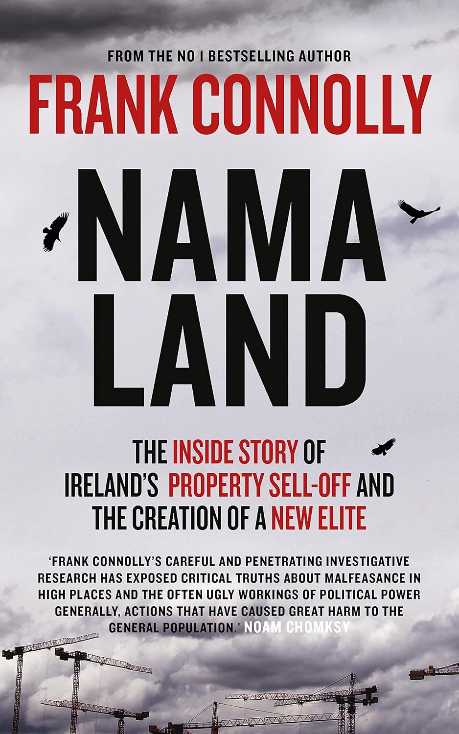 NAMA-Land: The Inside Story of Ireland's Property Sell-off and The Creation of a New Elite (English Edition) baixar livro de graça