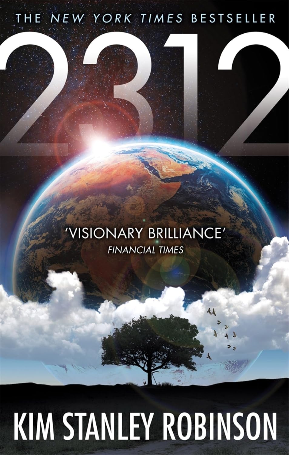 ler totalmente 2312 (English Edition)