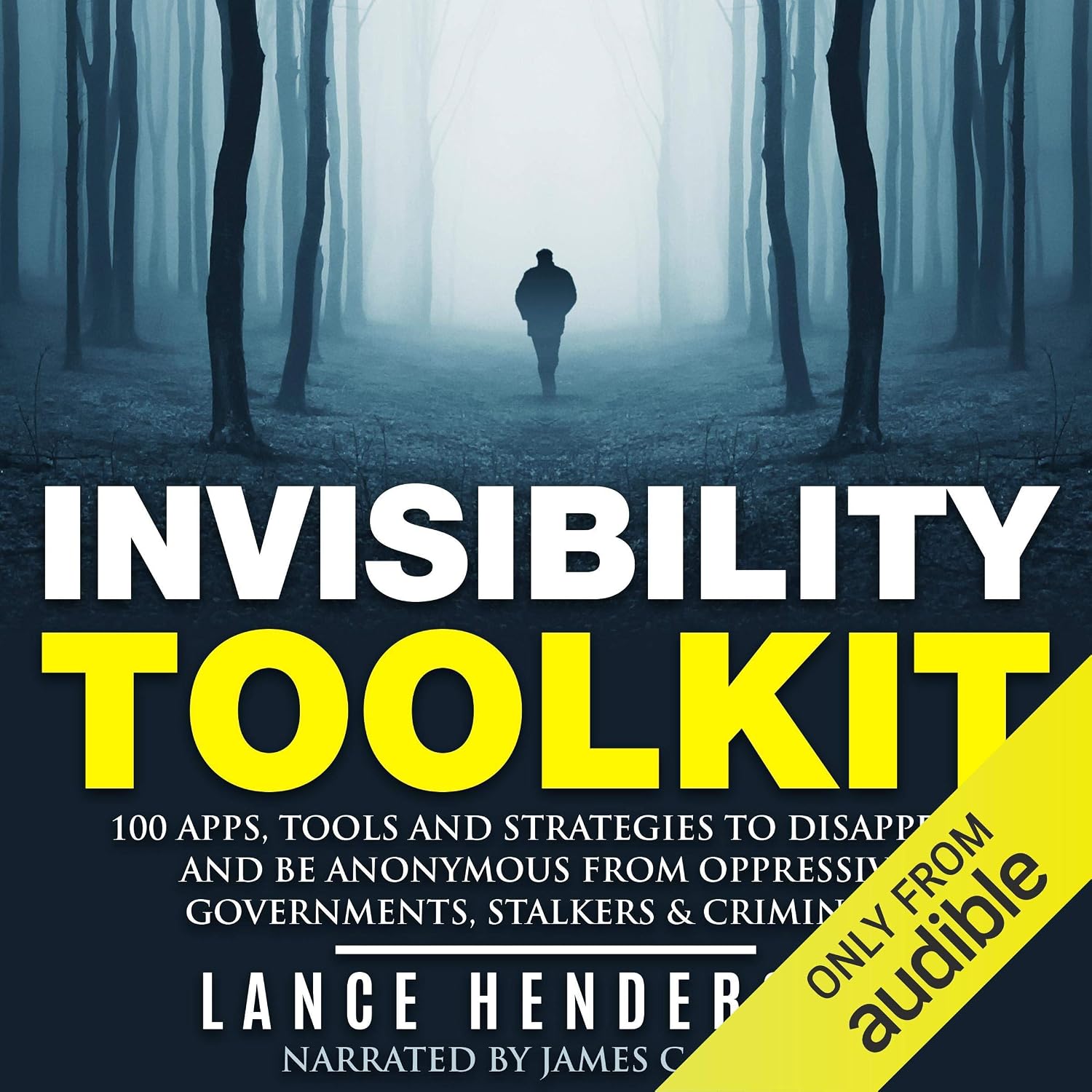 Invisibility Toolkit: 100 Ways to Disappear and How to Be Anonymous From Oppressive Governments, Stalkers & Criminals baixar livro de graça