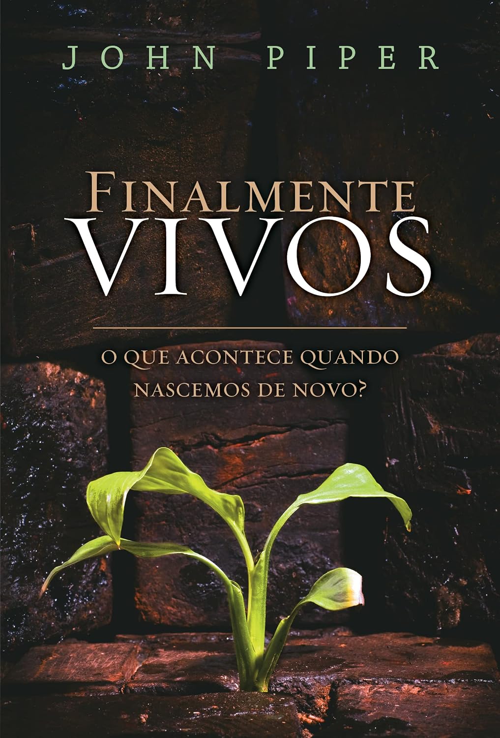 Finalmente vivos: O que acontece quando nascemos de novo? baixar livro de graça
