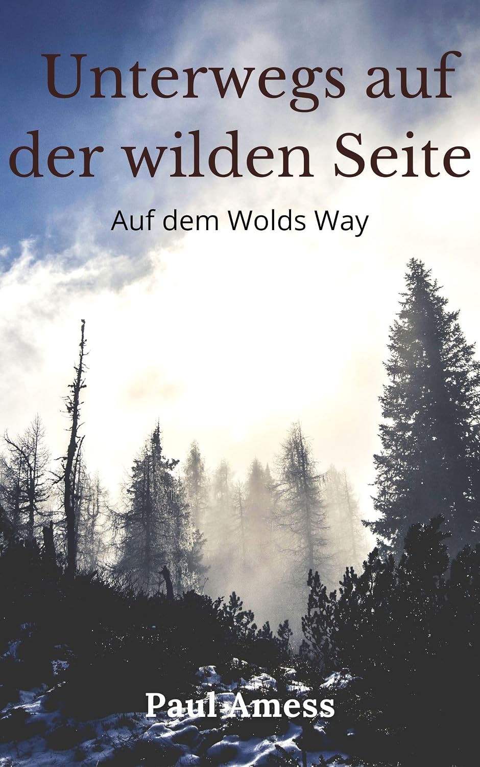 Ein Spaziergang auf der wilden Seite (Historische Wanderungen, Band 1-5) (German Edition)