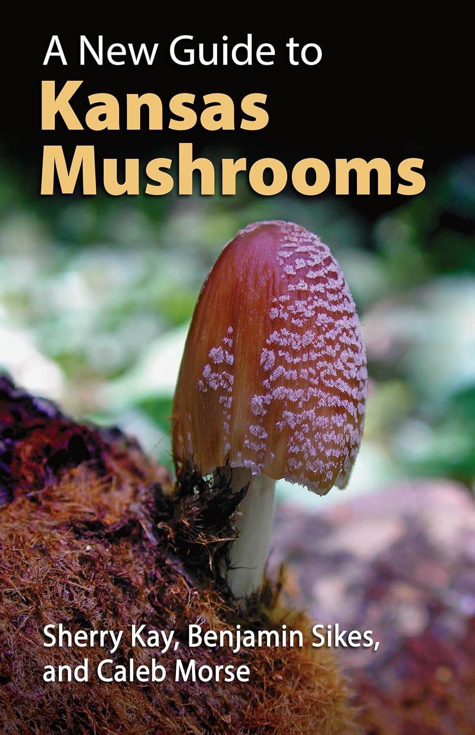 A New Guide to Kansas Mushrooms (English Edition) baixar livro de graça