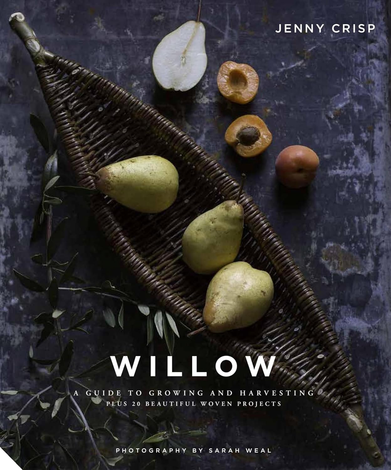 capítulo por capítulo baixar Willow: A Guide to Growing and Harvesting (English Edition)