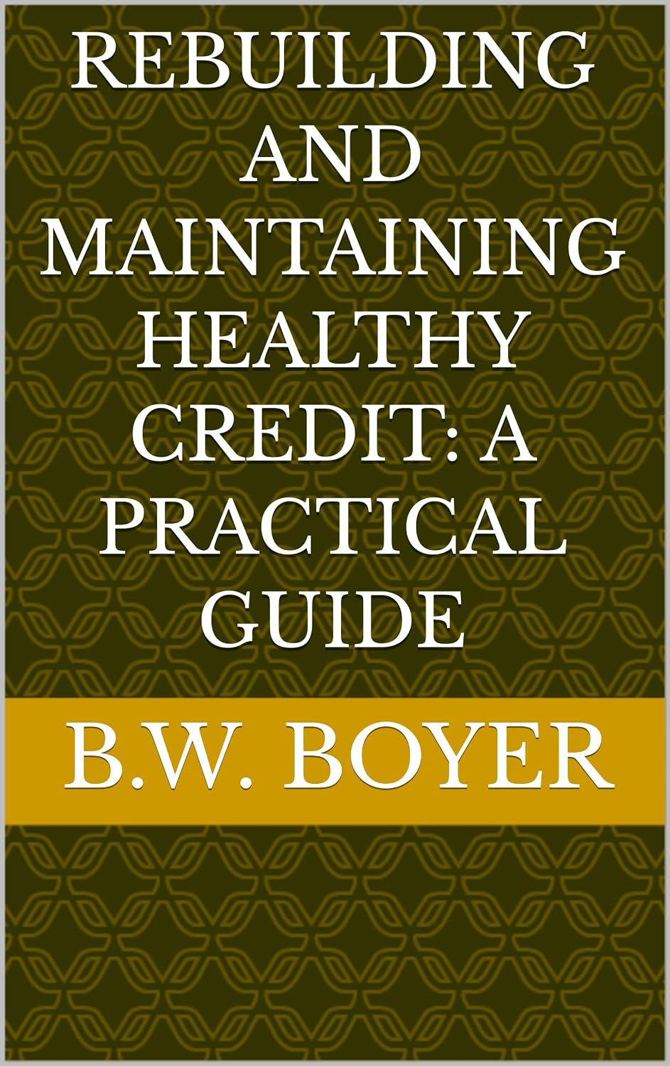 Rebuilding and Maintaining Healthy Credit: A Practical Guide (English Edition) baixar o livro de graça