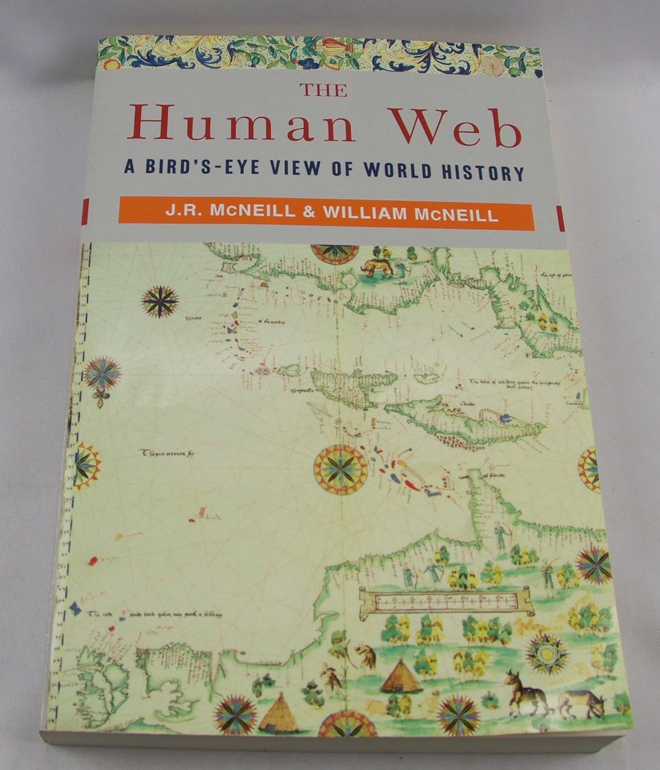 The Human Web: A Bird's-Eye View of World History baixar livro de graça