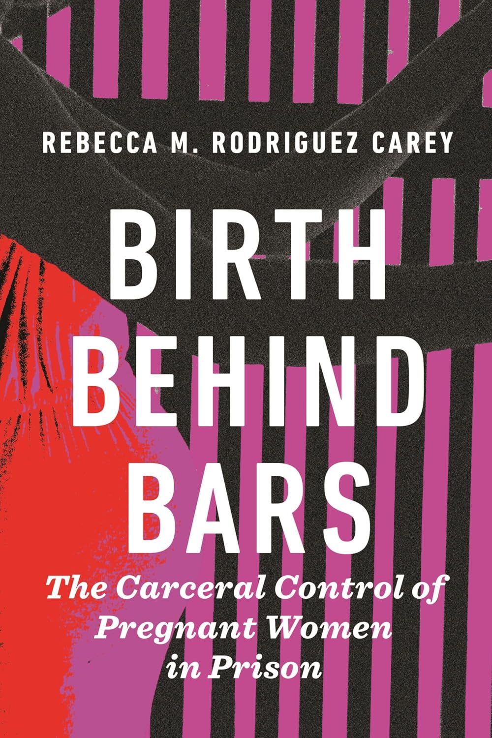 capítulo por capítulo baixar Birth Behind Bars: The Carceral Control of Pregnant Women in Prison (English Edition)