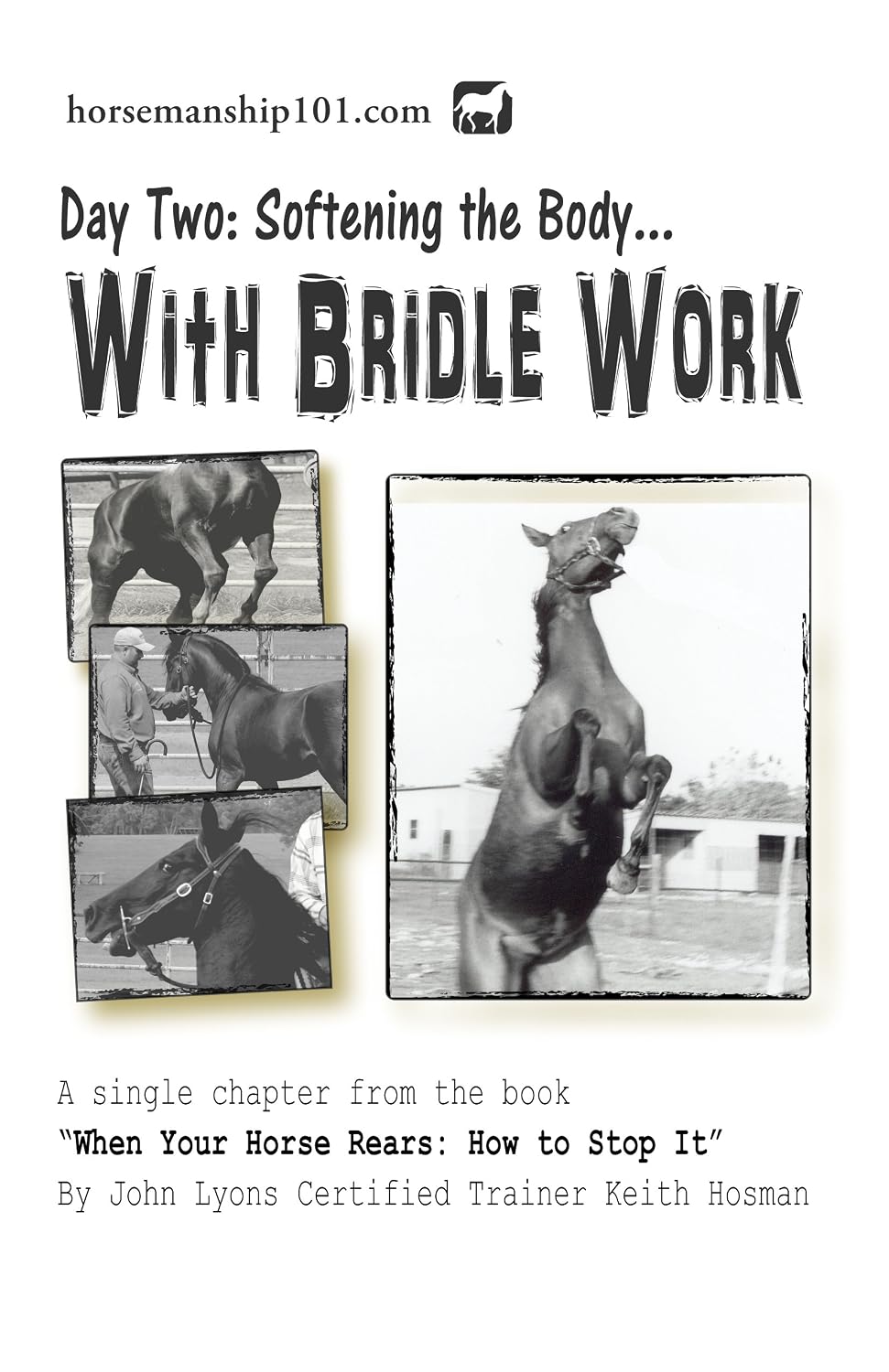 Day Two: Softening the Body with Bridle Work (When Your Horse Rears Book 2) (English Edition) baixar o livro de graça