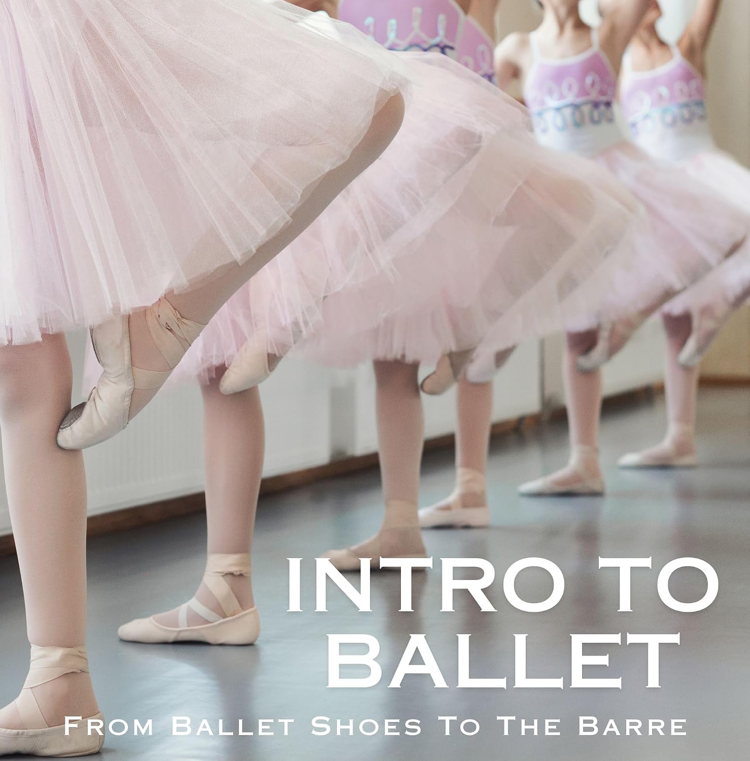 Intro To Ballet: From Ballet Shoes To The Barre (English Edition) baixar o livro de graça