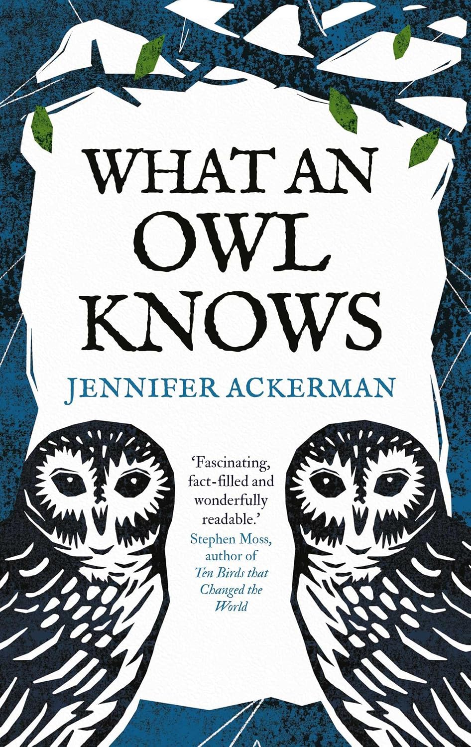 What an Owl Knows: The New Science of the World's Most Enigmatic Birds (English Edition) baixar o livro de graça