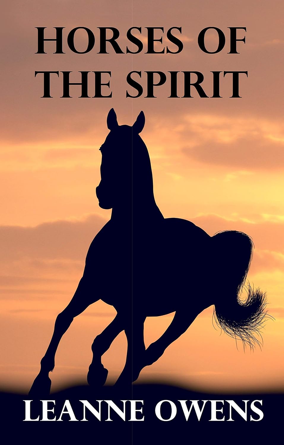 ler totalmente Horses of the Spirit (The Outback Riders Book 5) (English Edition)