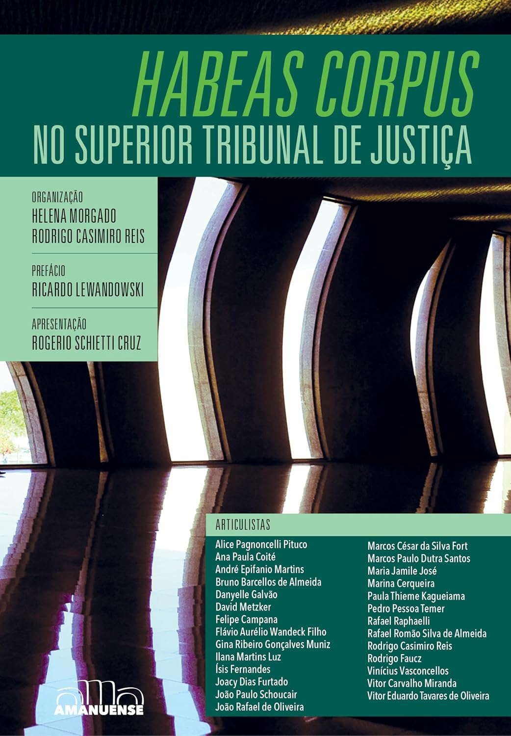 Habeas Corpus no Superior Tribunal de Justiça baixar livro de graça