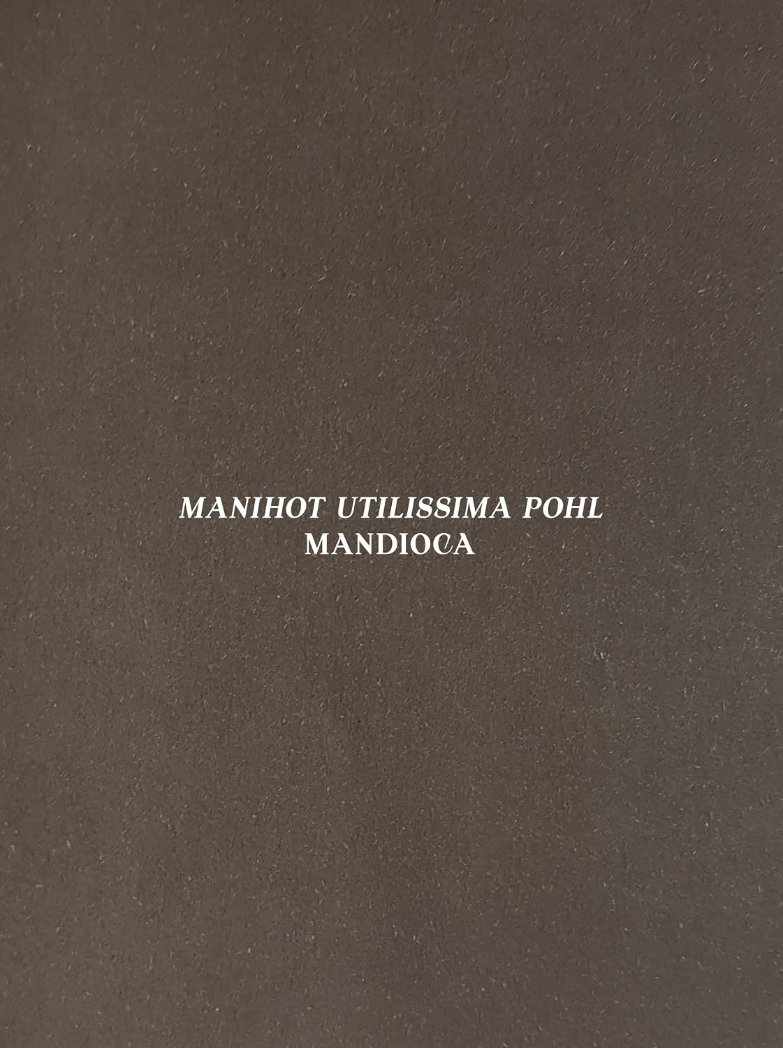 Mandioca - Manihot utilissima pohl