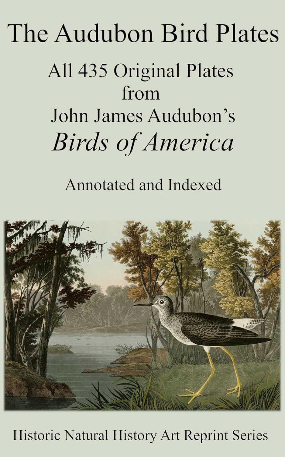 capítulo por capítulo baixar The Audubon Bird Plates (Annotated): All 435 Original Plates from John James Audubon’s Birds of America - Annotated and Indexed (English Edition)