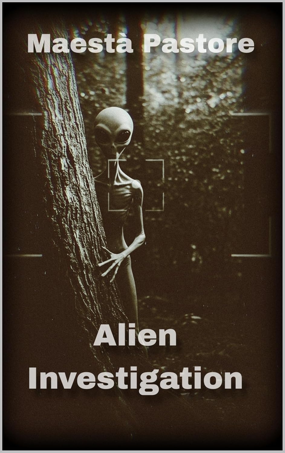 Alien Investigation (Alien Disclosure Files) (English Edition) baixar o livro de graça