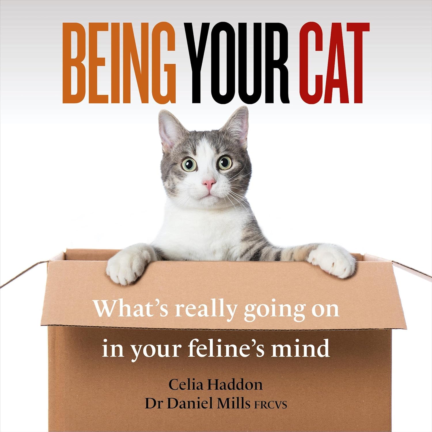 capítulo por capítulo baixar Being Your Cat: What's really going on in your feline's mind