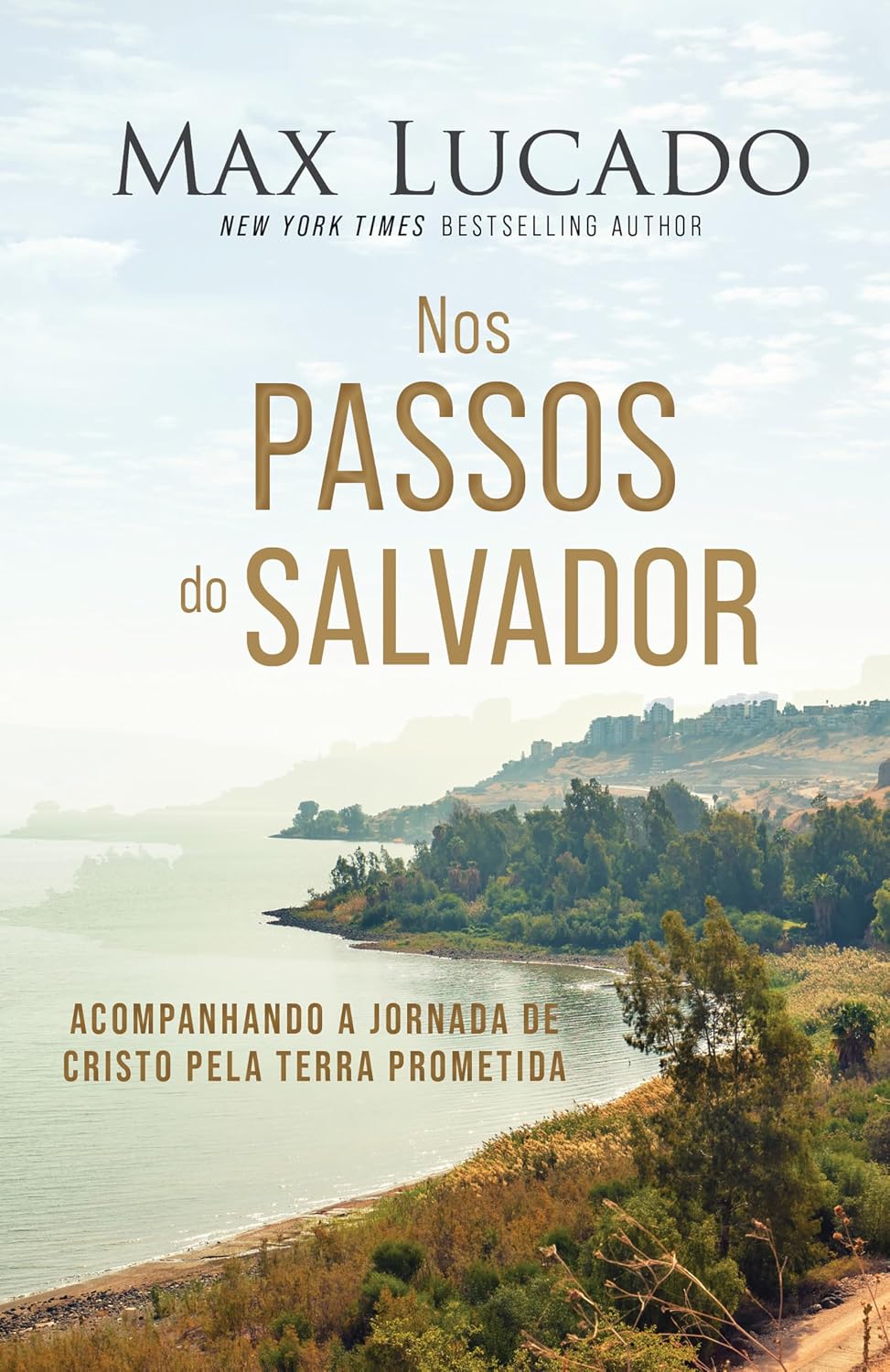 Nos passos do Salvador: Acompanhando a jornada de Cristo pela Terra Prometida baixar livro de graça