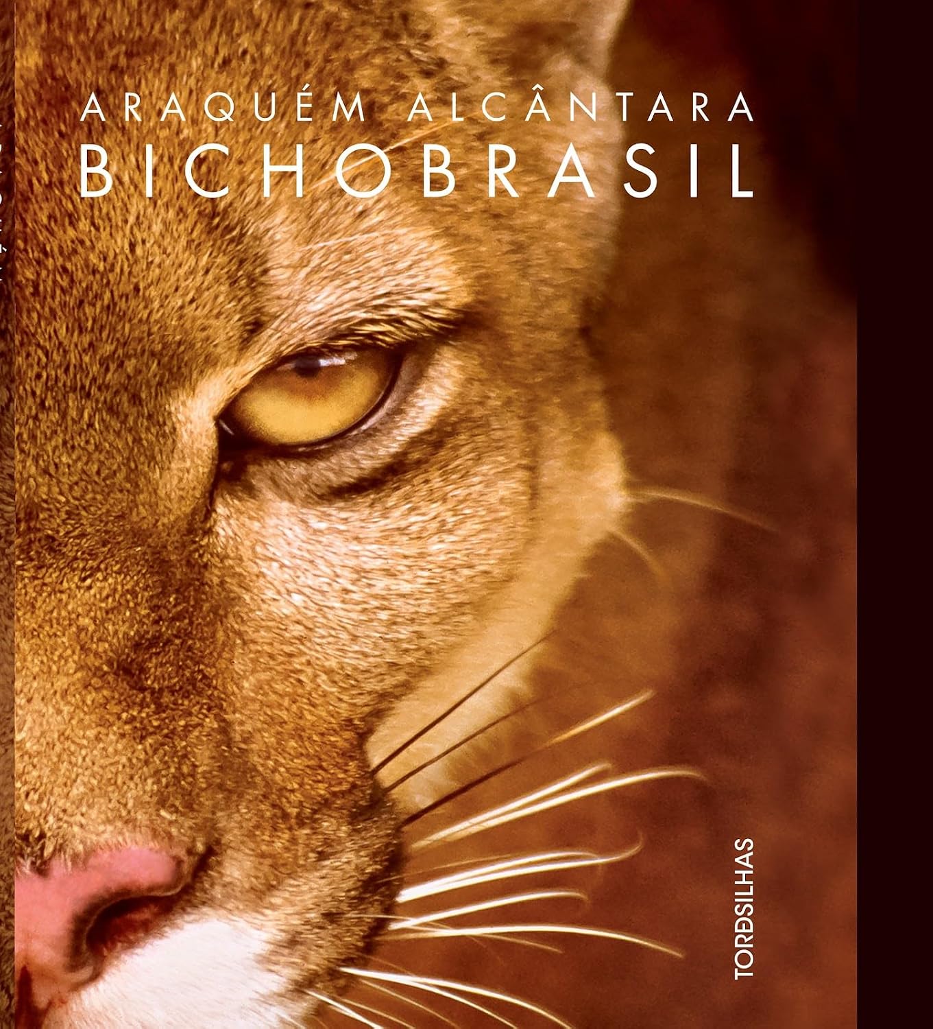 Bicho Brasil baixar livro de graça