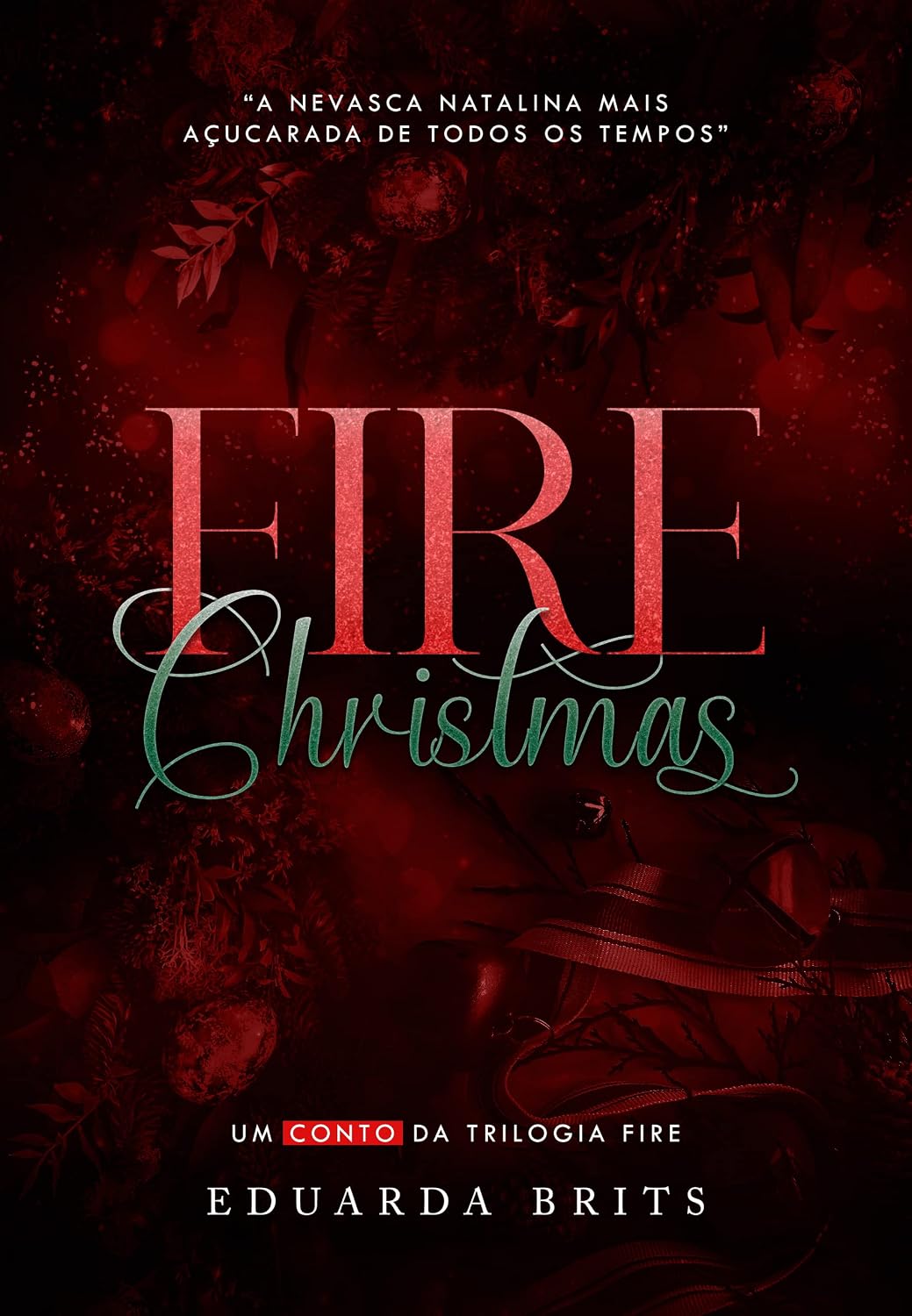 FIRE CHRISTMAS (Trilogia FIRE) baixar livro de graça