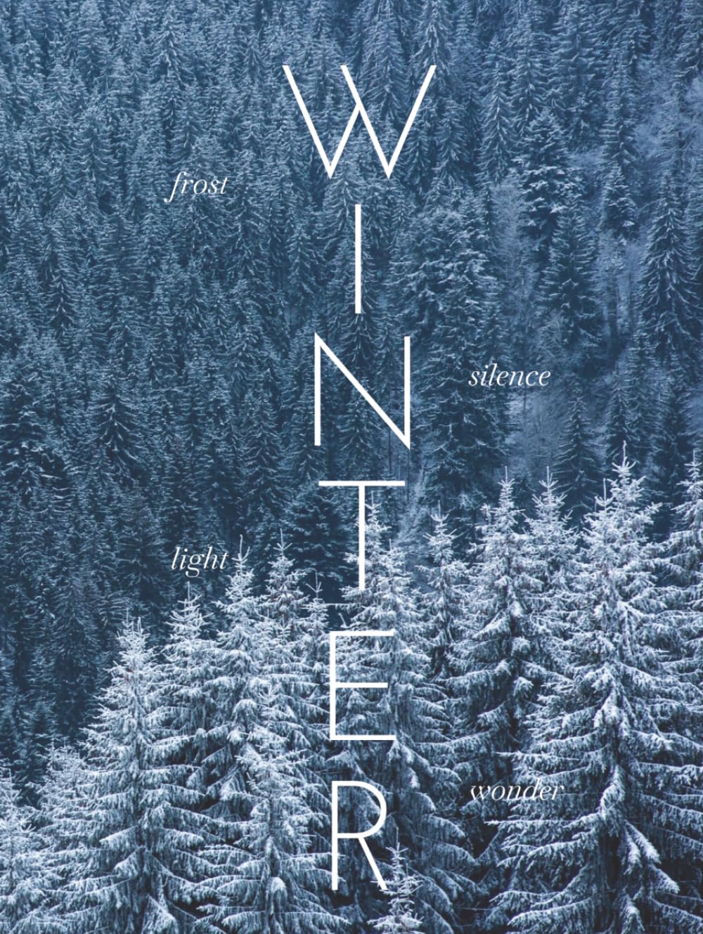 ler totalmente WINTER: A visual journey into the beauty of the season (THE COFFEE TABLE BOOKS)